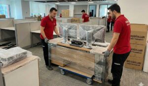 Profesyonel Laboratuvar Taşımacılığı